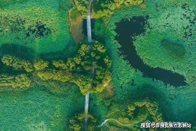 测-鹿溪雅园售楼中心详情户型 小区配套鹿溪雅园售楼处欢迎您 2025楼盘评(图8)
